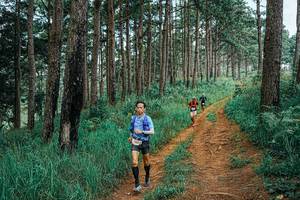 BIB: 
                            <button type="button" onclick="openModal(25663063)" class="btn btn-primary btn-sm float-right btn-popup" data-toggle="modal" data-target=".modal-high-quality">
                        <i class="fas fa-shopping-cart"></i> Add to Cart
                    </button>
                                            <button type="button" onclick="isThisMe(25663063, true)" class="btn btn-success btn-sm float-right btn-popup btn-isme hidden" data-toggle="tooltip" data-placement="bottom" title="นี่คือรูปของคุณใช่ไหม คลิกที่นี่เพื่อเอาเข้าอัลบั้ม">
                        <i class="fas fa-plus"></i> Add to album
                    </button>
                    <button type="button" onclick="isThisMe(25663063, false)" class="btn btn-warning btn-sm float-right btn-popup btn-isnotme hidden">
                        <i class="fas fa-ban"></i> Remove from album
                    </button>